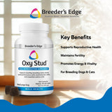 Breeder’s Edge Oxy Stud Male Supplement Multivitamin for Dogs & Cats, Helps Support Breeding, Fertility and Nutritional Needs Specific to Male Reproductive Health, Soft Chews - 60ct Medium & Large Dog