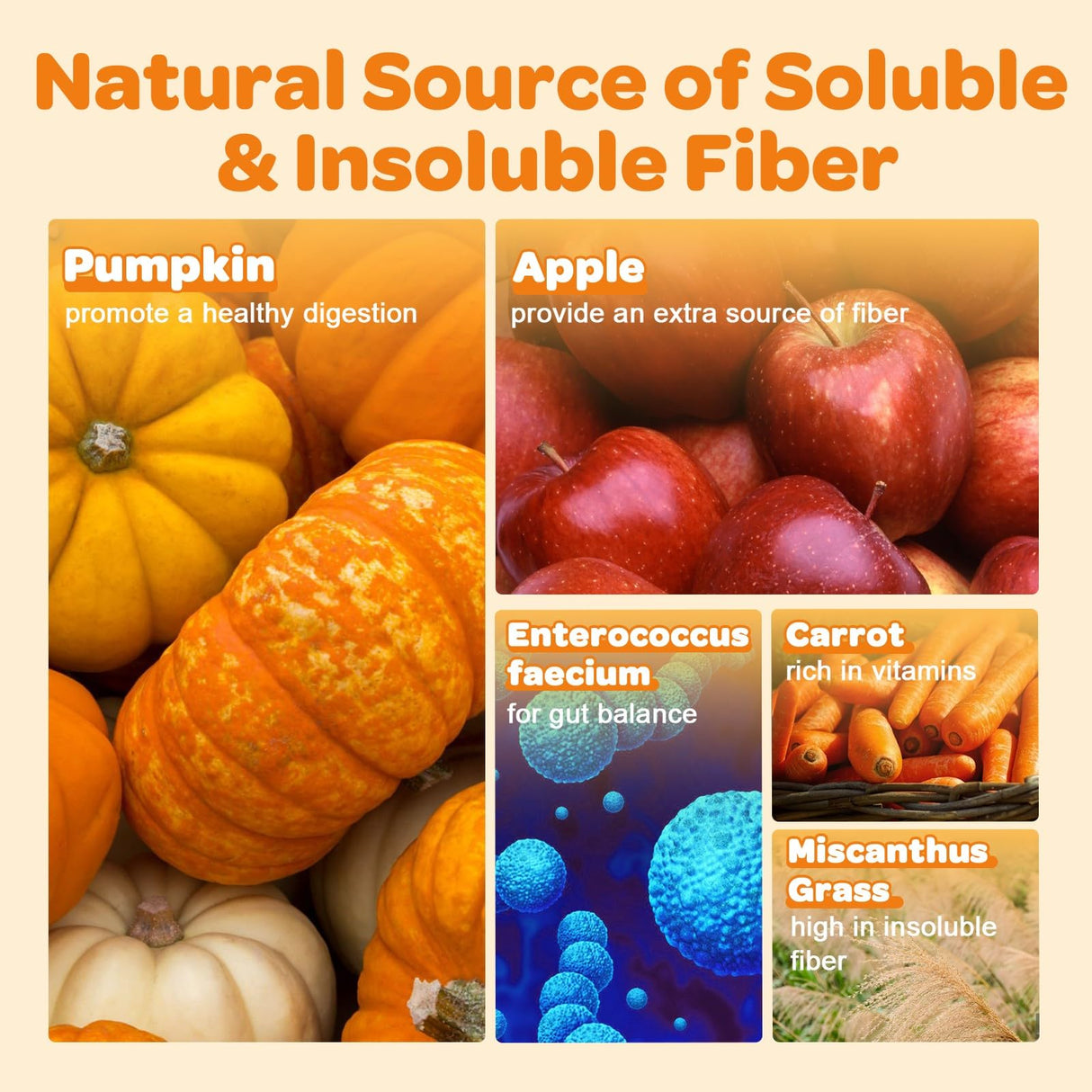 ZEBORA Pumpkin for Dogs - Natural Fiber for Dogs and Cats, Apple, Dog Probiotics for Digestive Health, Support Firm Stool, Diarrhea, Constipation, Add Water to Make Pumpkin Puree for Dogs, 10.58 oz