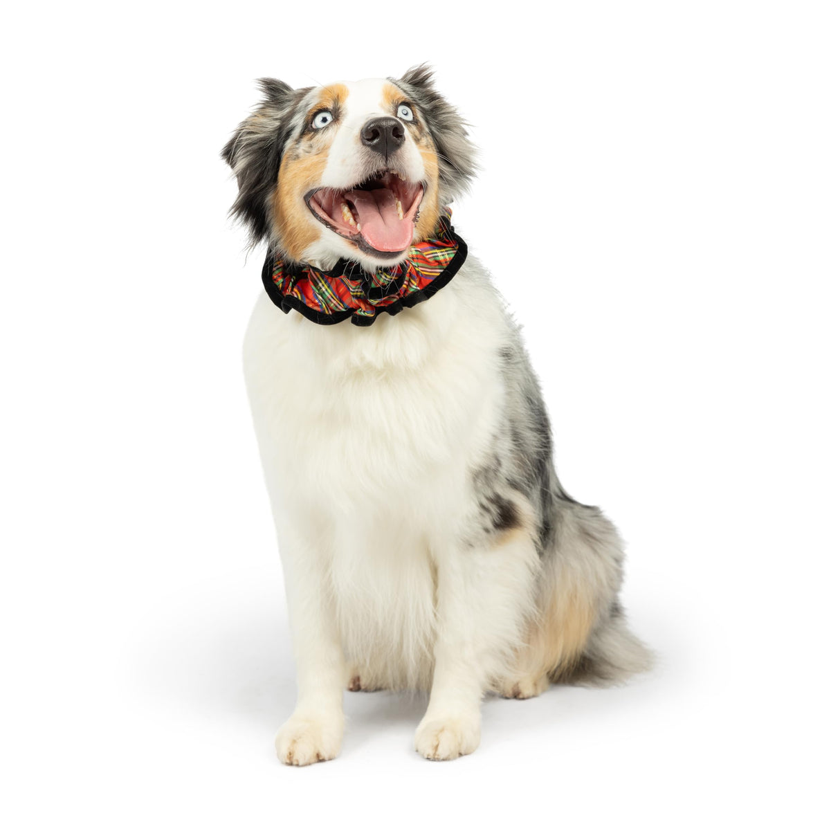 Huxley & Kent Ruff Pet Scrunchy | Shiny Christmas Plaid (Extra-Large) | Festive Christmas/Holiday Neckwear for Dogs/Cats | Fun Stretchable Costume Accessory | Soft Collar with Bells