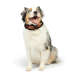 Huxley & Kent Ruff Pet Scrunchy | Shiny Christmas Plaid (Extra-Large) | Festive Christmas/Holiday Neckwear for Dogs/Cats | Fun Stretchable Costume Accessory | Soft Collar with Bells