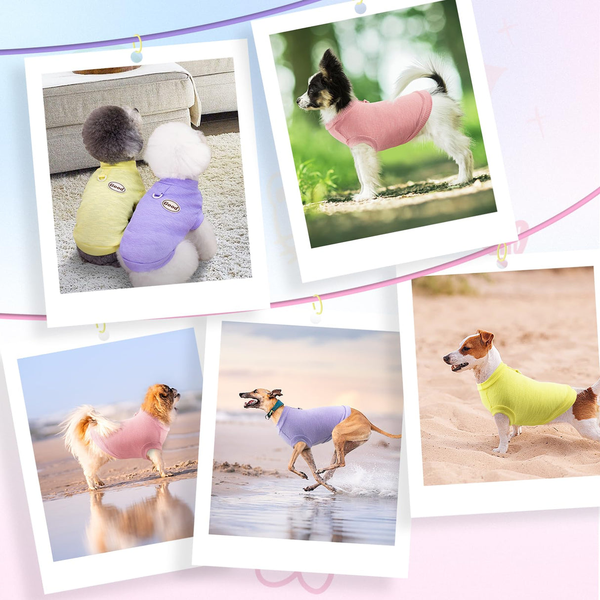 LyssKMK 3Packs Dog Cotton T-Shirt Dog Summer Short Sleeves Puppy Shirts Breathable Pet Vest Clothes with D-Ring for Small Medium Large Dogs Cats Kittens (Yellow Purple Pink) M