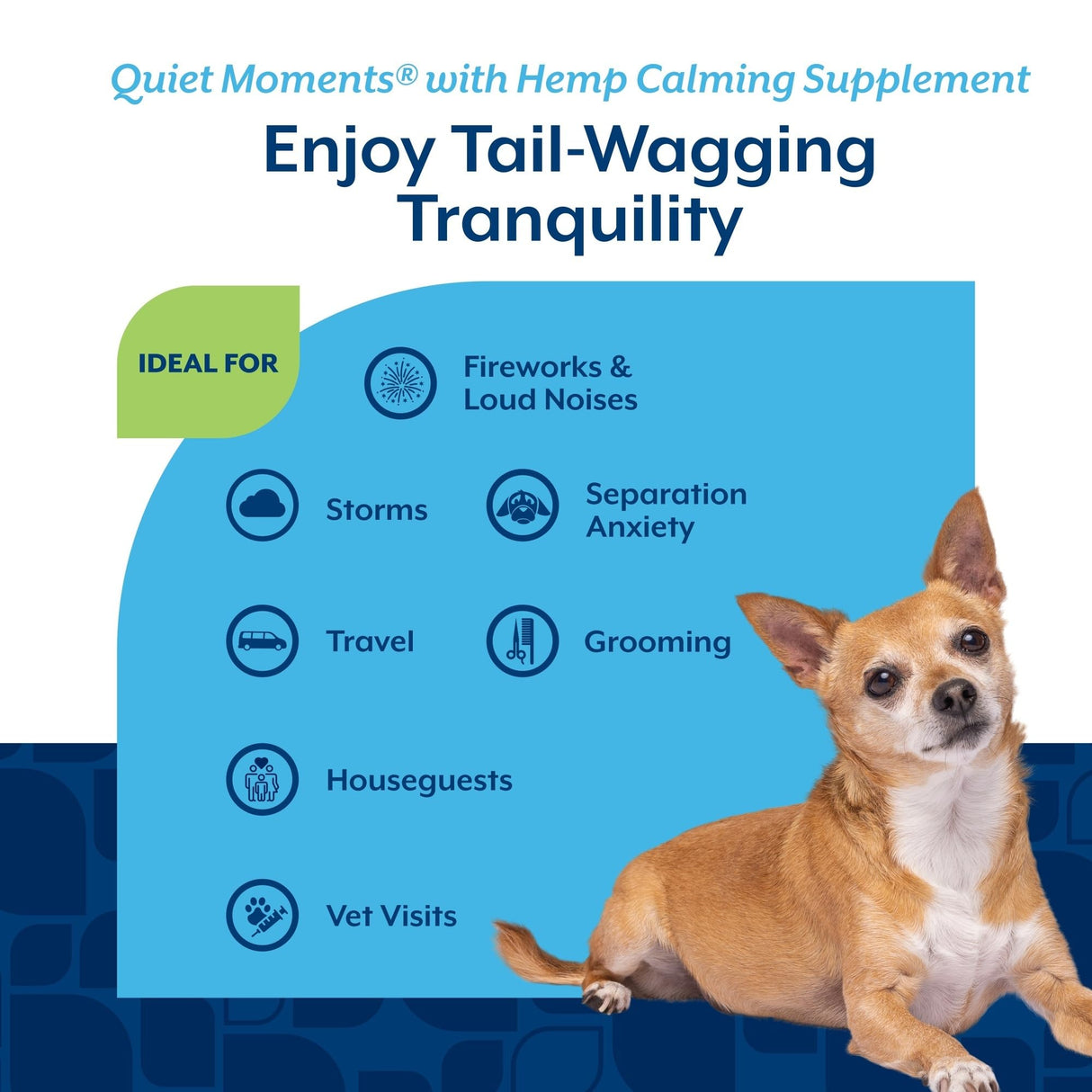 NaturVet Quiet Moments Calming Aid Dog Supplement, Helps Promote Relaxation, Reduce Stress, Storm Anxiety, Motion Sickness for Dogs (Quiet Moments Plus Hemp, 180 Soft Chews)