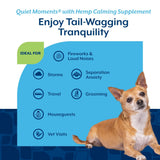 NaturVet Quiet Moments Calming Aid Dog Supplement, Helps Promote Relaxation, Reduce Stress, Storm Anxiety, Motion Sickness for Dogs (Quiet Moments Plus Hemp, 180 Soft Chews)