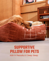 Pawccoli Dog Beds Large Sized Dog - Comfy Flat Pet Beds with Removable Washable Cover, Orthopedic Foam Puppy Mat with Pillow Suitable for Pet Up to 65 lbs(36''×24''×5'')