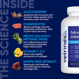 Vetrinex Labs Joint Support Supplement for Large Dogs - Hip and Joint Chewable Tablets for Small, Medium & Large Breed Dogs with Glucosamine, Chondroitin, and MSM, Beef Flavor, 120 Tablets
