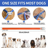 Dog Flea and Tick Collar 4 Pack, Waterproof Adjustable Collar for Dogs and Puppies, 32-Month Prevention, Blue & Orange