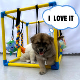 Dewonch Puppy Play Gym with 8 Hanging Toys, Small Dogs Indoor Jungle Gym, PVC Frame with Bungee Straps Enrichment Activity Center