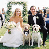 Huhumy 2 Pcs Dog Wedding Suits, Tuxedo and Flower Collar, Bow Tie Adjustable Formal Suit Costume Elegant Dog Flower Headband for Small to Medium Dogs Wedding Engagement Birthday Outfit Pet Photo Prop