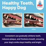 Pup Labs ProDenta, All-Natural Dog Dental Powder for Teeth Cleaning, Dental Powder for Dogs Teeth with Breath Freshener. Easy to use for Tartar Removal and Leaky Gums. Made in USA, 30 Servings