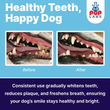 Load image into Gallery viewer, Pup Labs ProDenta, All-Natural Dog Dental Powder for Teeth Cleaning, Dental Powder for Dogs Teeth with Breath Freshener. Easy to use for Tartar Removal and Leaky Gums. Made in USA, 30 Servings

