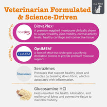 Load image into Gallery viewer, Zesty Paws Vet Strength Mobility Bites Beef &amp; Bacon Flavor Hip &amp; Joint Support Chews for Dogs with Glucosamine, Chondroitin, MSM, Hyaluronic Acid &amp; Serrazimes - 90 Count
