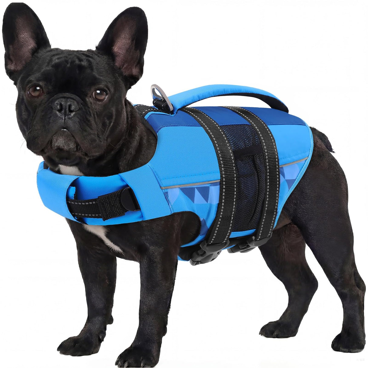 ASENKU Dog Life Jacket with Reflective Stripes, Adjustable High Flotation Dog Safety Vest, Ripstop Pet Lifesaver for Swimming Boating, Lightweight Pet Life Preserver for Medium Dogs (Blue, S)