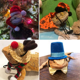 18Pcs Bearded Dragon Festival Costumes, Lizard Hats Clothes at Birthday Halloween Christmas, Festive Costume Accessories Set for Gecko Chameleon Iguana Hamster Ferret Reptile (Boy Set/18 Pcs)