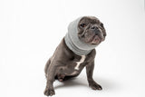 Pet Hoodz for Dogs-Anxiety, Grooming, Ear Muffs, Dog Ear Protection, Calming, Ear Compression, Pet Hoodie, Dog Hoodie (Large, Grey)