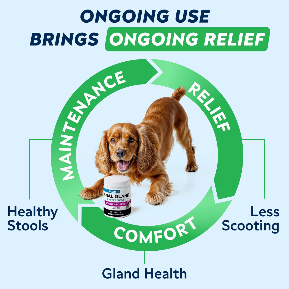 STRELLALAB Anal Gland Support Chews - Scoot Treatment - Digestive Enzymes, Prebiotics & Fiber Supplement for Dogs Digestion & Gut Health. Proprietary Blend of Beet, Psyllium, Dandelion & Pumpkin 120Ct