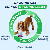 STRELLALAB Anal Gland Support Chews - Scoot Treatment - Digestive Enzymes, Prebiotics & Fiber Supplement for Dogs Digestion & Gut Health. Proprietary Blend of Beet, Psyllium, Dandelion & Pumpkin 120Ct