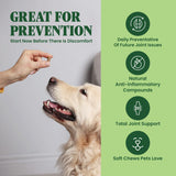 Green Lipped Mussel for Dogs & Cats - 60 Soft Chews - New Zealand Green Lipped Mussels - Natural Hip & Joint Supplement for Joints, Tendons, Ligaments, Muscles