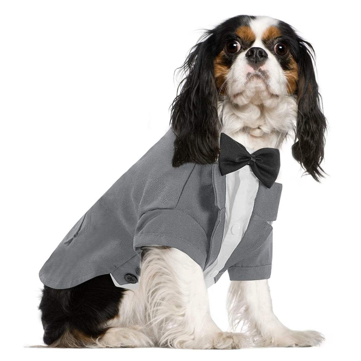Queenmore Dog Tuxedo, Formal Outfit for Wedding & Halloween - Pet Tuxedo with Tie for Large, Medium & Small Dogs, Puppy & Cats (Grey, S)