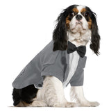 Queenmore Dog Tuxedo, Formal Outfit for Wedding & Halloween - Pet Tuxedo with Tie for Large, Medium & Small Dogs, Puppy & Cats (Grey, S)