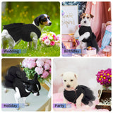 QBLEEV Dog Wedding Dress - Bowknot Dog Attire, Black Lace Tutu Skirt for Small Dogs, Halloween Princess Dress