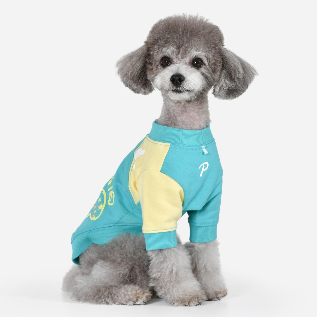 Puppia Spring/Summer PAWISH Dog Shirt Trendy Fashionable Cute Dog Apparel, Aqua, Medium