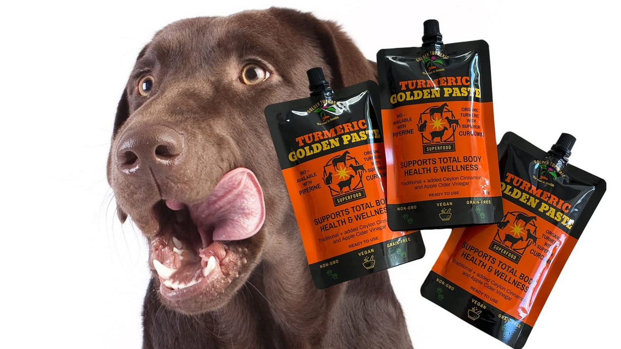 Turmeric Golden Paste for Pets 7 OZ (200grams)