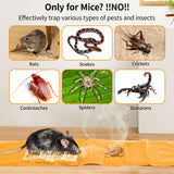 6 Pack 47 * 11 in Large Rat Traps, Heavy Duty Sticky Mouse Traps for House Indoor, Extra Strength Snake Traps for Mice Rat Snake Roach Lizard Spider Scorpion and Other Pests