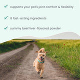 Dr. Mercola Bark & Whiskers Joint Support - Joint & Cartilage Support for Cats & Dogs - with Collagen, MSM, Green-Lipped Mussel Extract & Hyaluronic Acid - 1.69 oz
