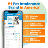 5Strands Pet Food Intolerance Test, at Home Sensitivity Test for Dogs & Cats, 575 Items Tested, Hair Analysis, Accurate for All Ages & Breeds, Pet Gut Health, Results in 4 Days