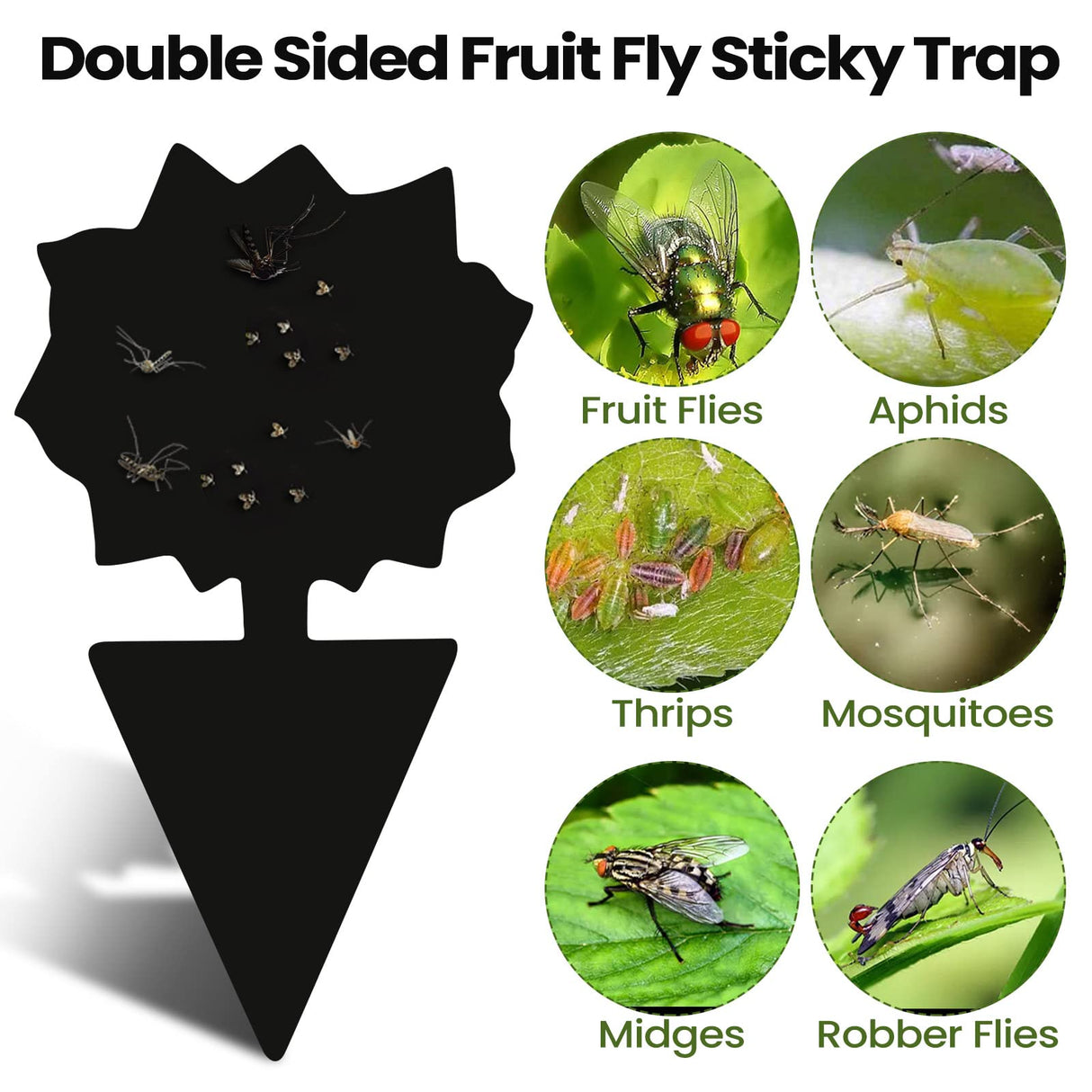 200 Sheets Fruit Fly Traps Sticky Traps for Fruit Fly Gnat Trap for House Indoors Sticky Traps Catcher for Gnats Fungus Gnats Mosquito Catcher Traps for Kitchen Outdoor Plants (Black)