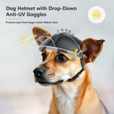 Dog Helmet for Small Breed Cool Pet Motorcycle Helmet with Drop-Down Clear Visor (with Rivets)