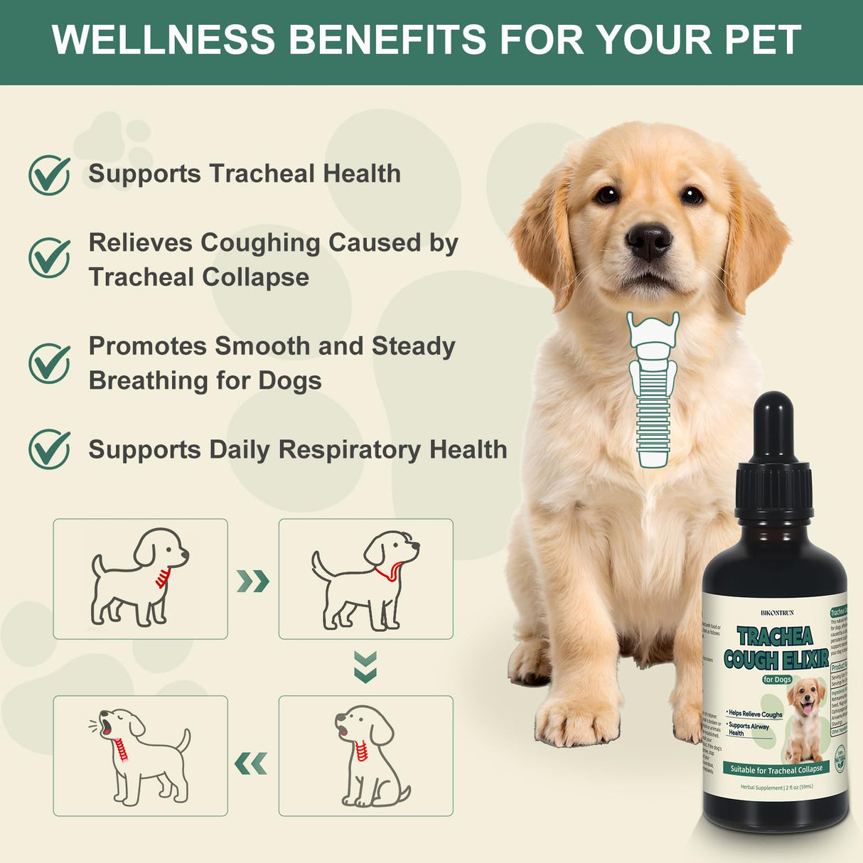 BiKontrun Collapsed Trachea Treatment for Dogs, Cough for Dogs, Trachea Cough Elixir, Natural Herbal Supplements Relieves Cough and Helps Soothe The Throat (2 FL OZ)