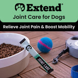 Extend Joint Care for Dogs - Hip and Joint Supplement Powder - Glucosamine for Dogs - Joint Pain Relief - MSM - Mobility & Flexibility Support - Advanced Joint Health - Made in USA