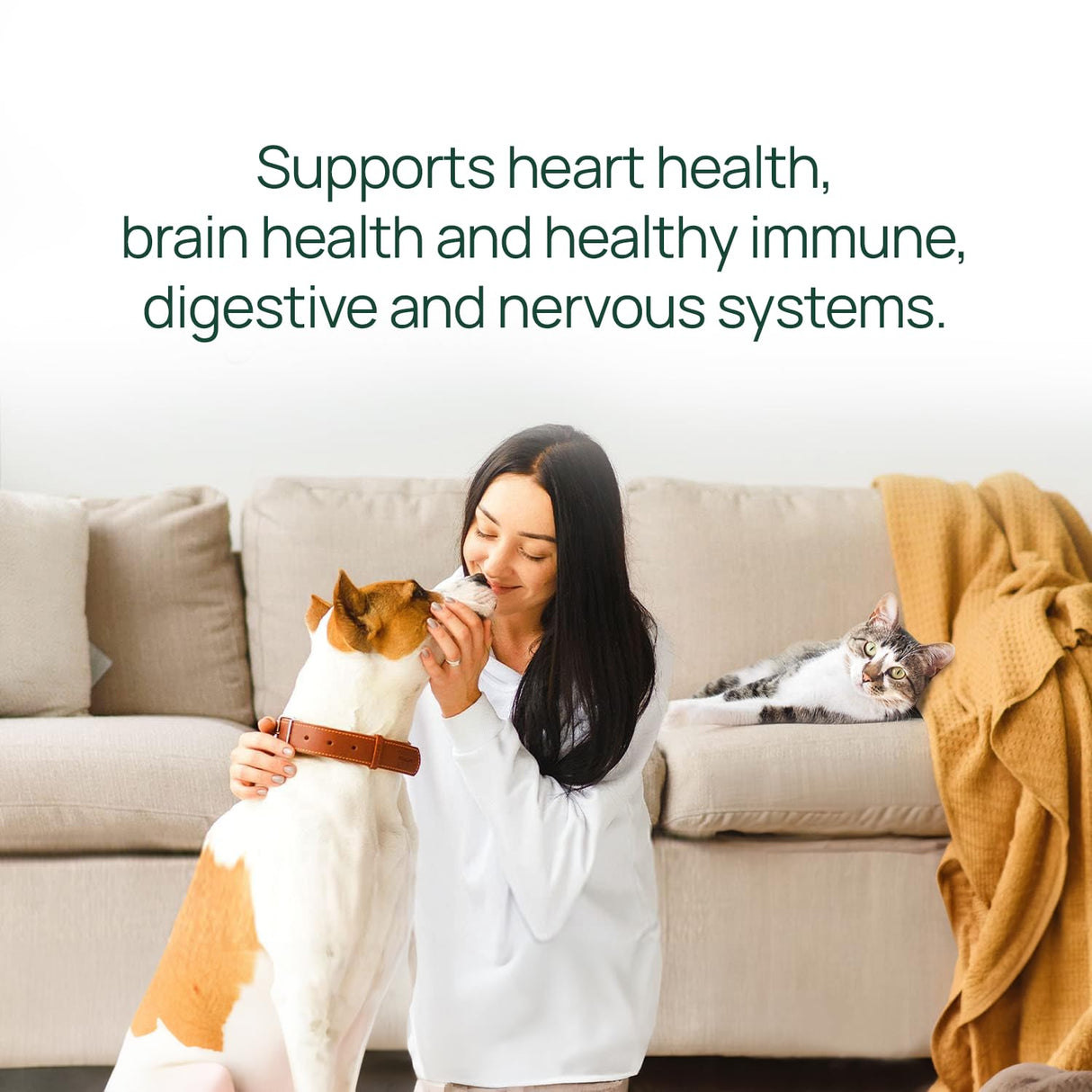 pawTree Salmon Oil-Dog and Cat Fish Oil Supplement-Ideal for excessive shedding control, seasonal allergies, itch relief, dry, irritated skin. With over 15 heart-healthy Omega-3 & Omega-6 Fatty Acids.