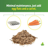 Josh's Frogs Mealworm & Superworm Wheat Bran Bedding and Food Source (5 Quarts)