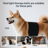 Red Light Therapy for Dogs,Wearable Infrared Light Therapy Belt for Pets Wounds Repair,Joint & Back Pain Relief,12.8 × 6.8 in 660/850 nm 80-LED Pad