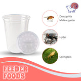Snout and Shell Deli Cups with Fabric Vented Lids, 10 Pack - Secure Fruit Fly & Insect Cultures, Prevent Escapes & Contaminants, Easy Fruit Fly Media Preparation, Hot Liquid Safe
