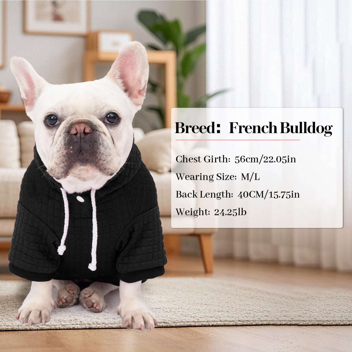 2 Pack Dog Hoodie Sweaters for Small Medium Dogs Warm Dog Clothes for Large Dogs Soft Waffle-Like Laminated Sweatshirt Bulldog (Black+Grey, M/L (Back: 17",Chest: 24.5", Neck: 14.5"))