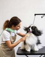 L&W BROS. Hands Free Dog Dryer – Powerful & Professional Pet Blow Dryer for Small & Medium Dogs & Cats, Adjustable Airflow, Easy Storage, Negative Ion Technology (Green)