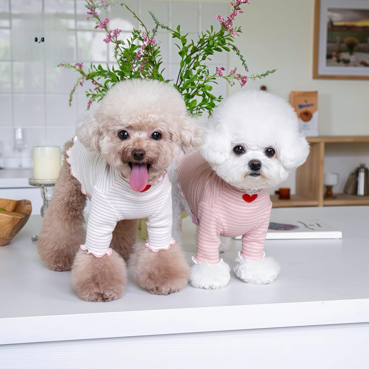 2Pcs Cute Dog Shirt Breathable Stretchy Puppies Tshirt for Small Medium Dogs Sphynx Cats Kitten Frenchie Dachshund (S (5.5-7.7 lbs))