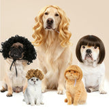 6pcs Fun Dog Wigs Suitable for Cat and Dog Cosplay Pet Wigs and Costumes Perfect for Christmas and Party Decorations