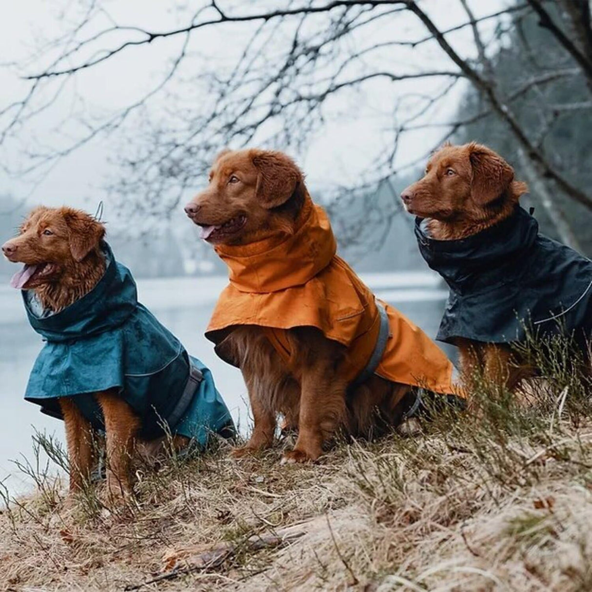 Hurtta Monsoon Coat, Dog Raincoat, Bilberry, 16 in