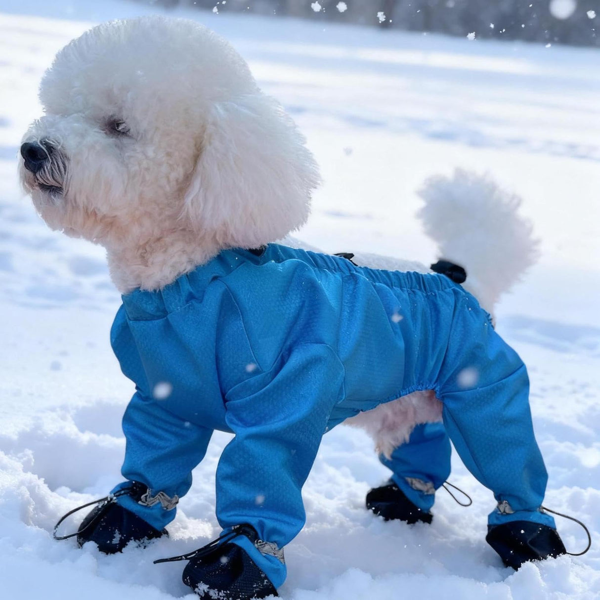 Waterproof Dog Boots with Suspenders, 4-Leg Anti-Dirt Pants, Anti-Slip Paw Protectors, Adjustable Fit for Outdoor Use, Rain, Snow, Cold Resistant for Small and Medium Dogs (Blue, XS)