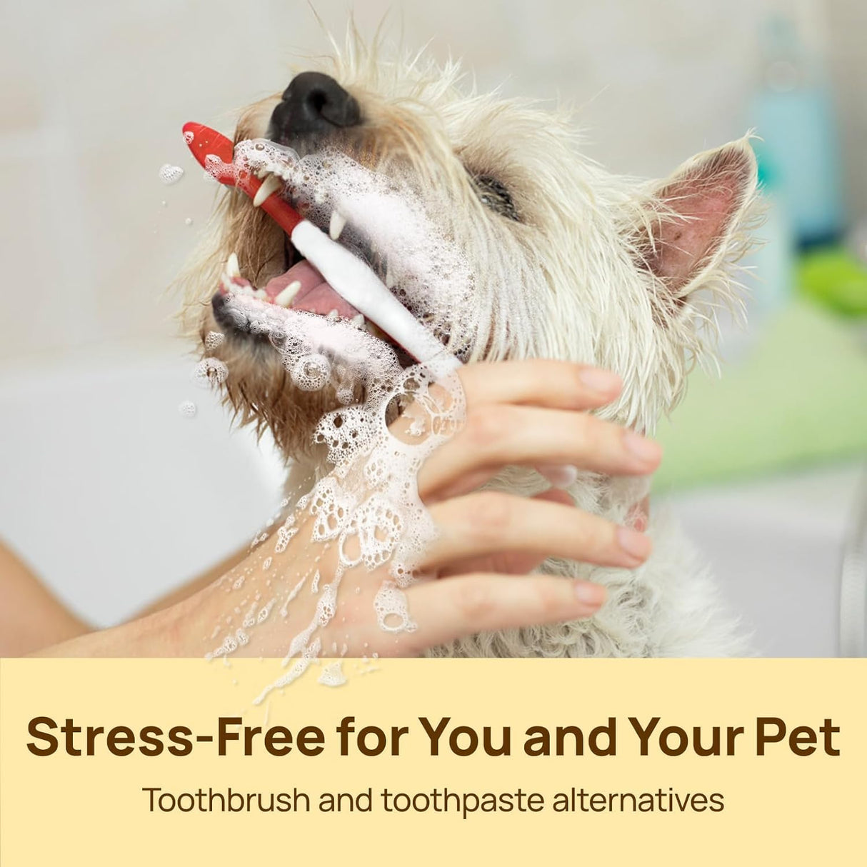 HICC Pet Teeth Cleaning Wipes for Dogs & Cats, Vet-Recommended Remove Bad Breath, Plaque, Tartar Buildup Dog Finger Toothbrush Wipes, Dog Tooth Brushing Kit, Pet Toothpaste & Toothbrush Alternatives