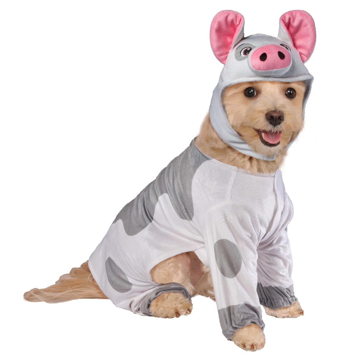 Disney Moana: Pua Pet Costume for For Dogs or Cats by Rubies, Medium