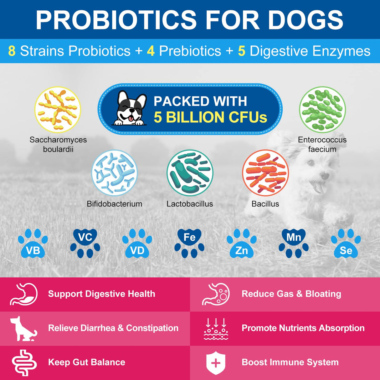 NATURE TARGET Dog Vitamins Powder, Probiotics & Digestive Enzymes for Gut Health, Glucosamine & Chondroitin & Omega 3, Complete Supplement for Homemade Dog Food, Joint & Skin & Immune Support