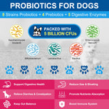 NATURE TARGET Dog Vitamins Powder, Probiotics & Digestive Enzymes for Gut Health, Glucosamine & Chondroitin & Omega 3, Complete Supplement for Homemade Dog Food, Joint & Skin & Immune Support