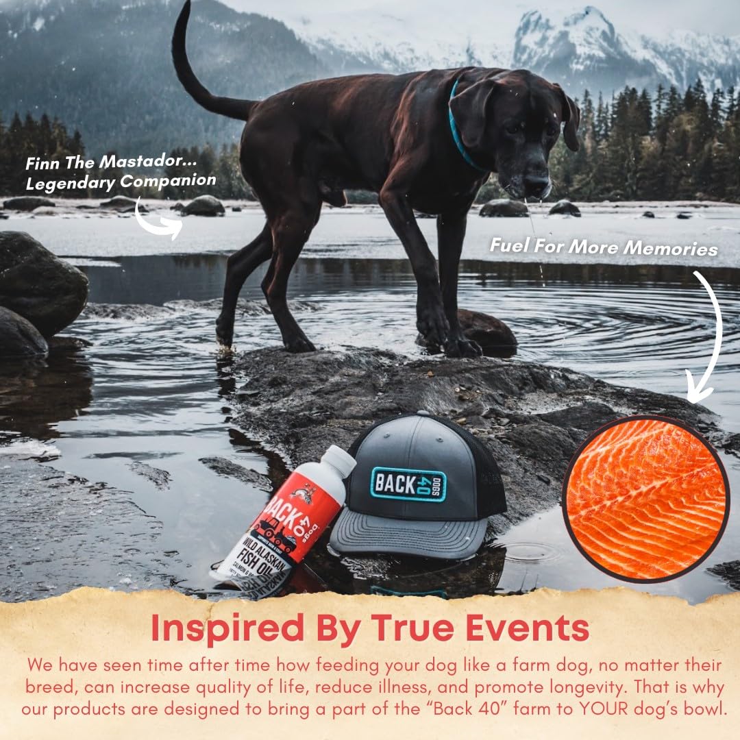 BACK 40 Dogs Wild Alaskan Fish Oil for Dogs, Skin and Coat Supplement for Dogs & Cats, Omega-3-Rich Salmon and Pollock Oil, EPA & DHA Dog Salmon Oil for Brain, Heart, and Joints 16 fl oz (473 ml)