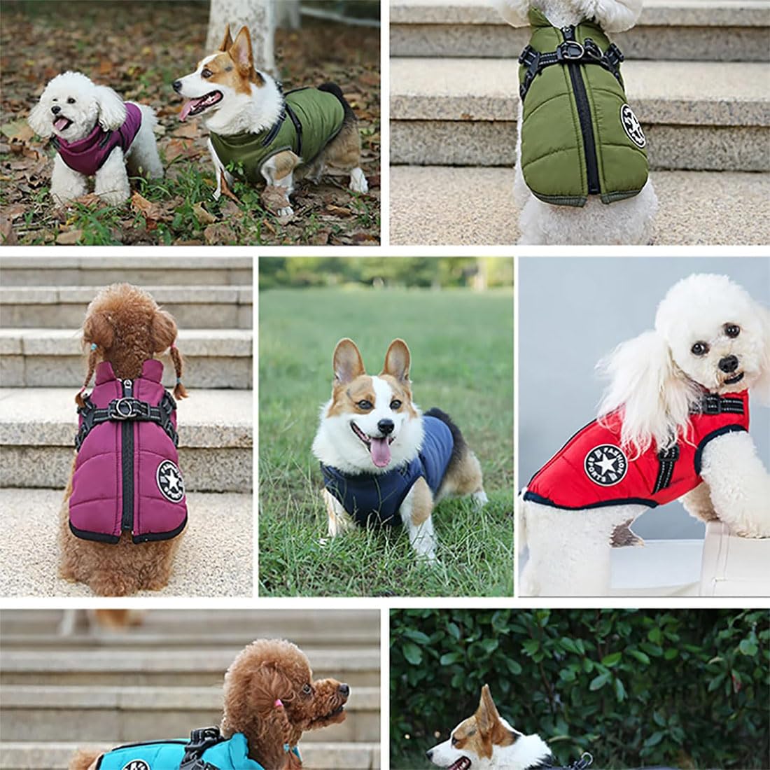 3 in 1 Winter Jacket for Dogs, Waterproof Windproof Dog Snow Jacket with Harness and Zipper, Pet Outdoor Jacket for Small Medium Large Dogs/Cats (Purple, 5XL)