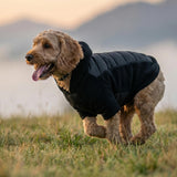 Fitwarm Quilted Fleece Dog Hoodie, Warm Coat, Winter Clothes for Small Dogs Boy Girl, Lightweight Pet Hooded Outfit, Black, XXL
